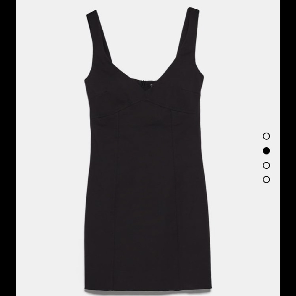 Fitted Zara Dress